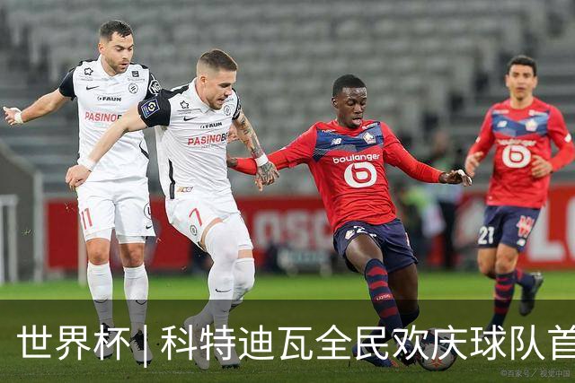 世界杯 | 科特迪瓦全民欢庆球队首进淘汰赛