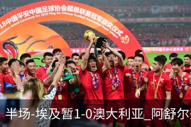 半场-埃及暂1-0澳大利亚 阿舒尔头球破门哈菲兹助攻沃尔帕托中框